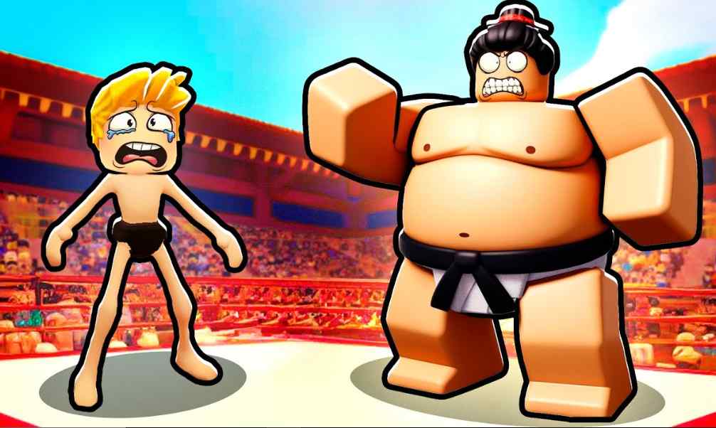 Sumo Wrestling Simulator Codes